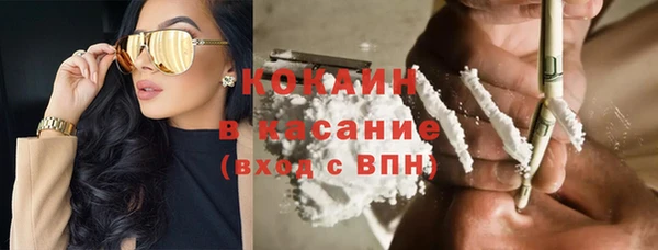 шишки Заволжье