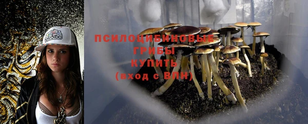 мескалин Зеленодольск