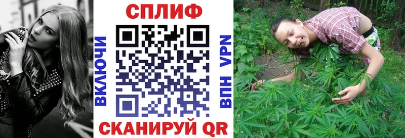 Бошки Шишки VHQ  Купить закладки  Красноармейск 